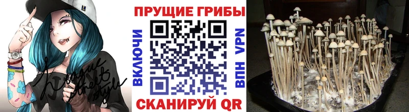 Купить где  Тобольск  Галлюциногенные грибы прущие грибы 